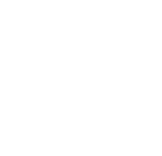 data-services-icon-white